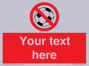 Custom No Ball Games Sign